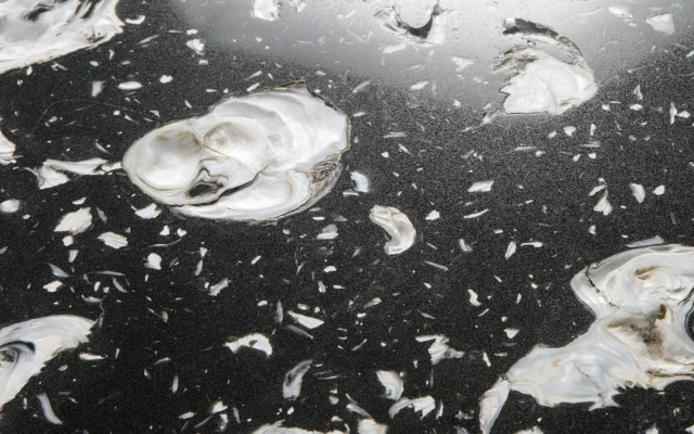 Oesterplat