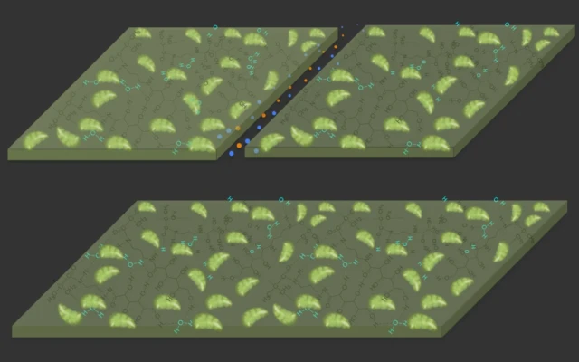 New material grows on carbon like a tree