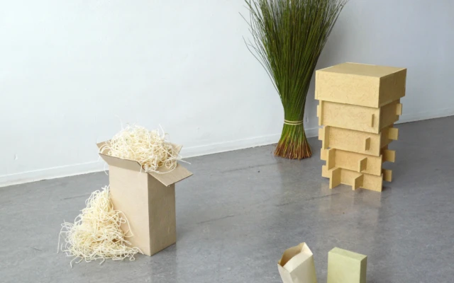 Medulla: from weed to furniture