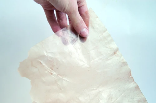 Using microbial cellulose as sustainable packaging material