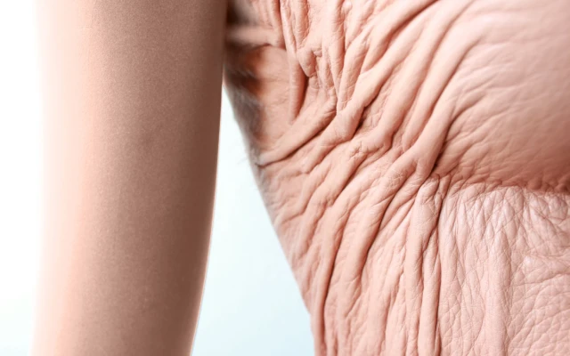 Transcendent Skin visualises future human skin in leather and silicone