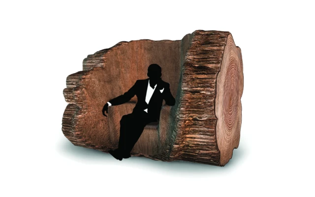 Tree Trunk Chair is formed by a living tree trunk