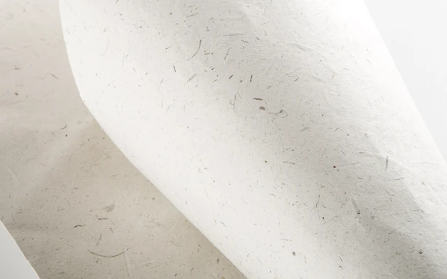 Handmade elephant dung paper