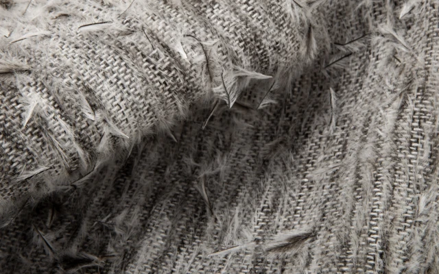 Feathered Fabrics