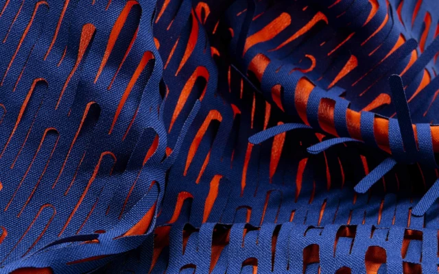 ANEMONIA