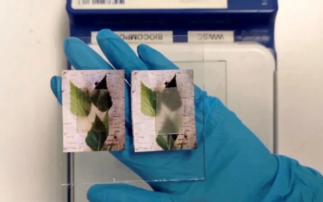 Transparent wood could lead to more energy efficient homes