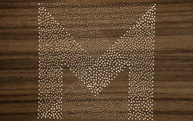 Perforated wood