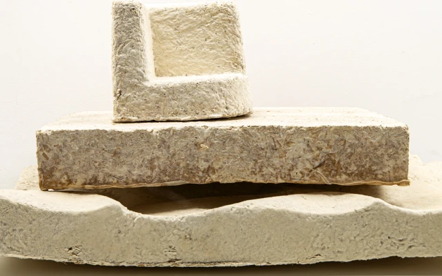 Mycelium design