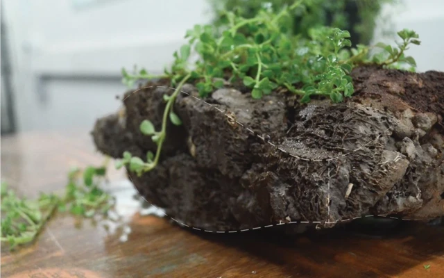 Lightweight bricks made with luffa and charcoal