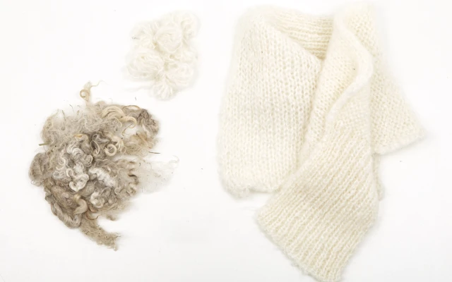 Dutch Mohair