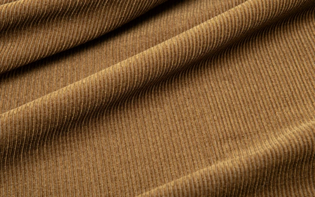 Corduroy
