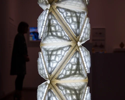 Breaking the boundaries between biology, design, and technology