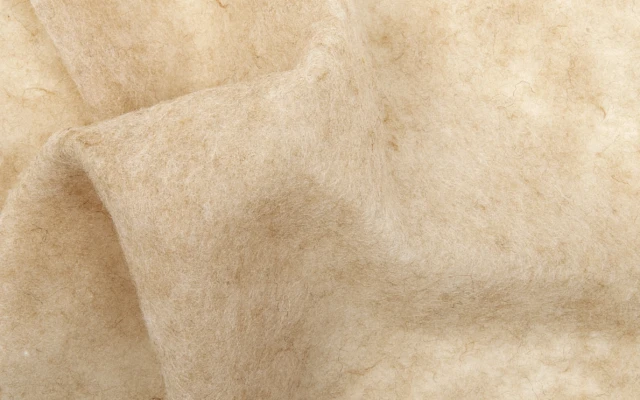 Cameluxe