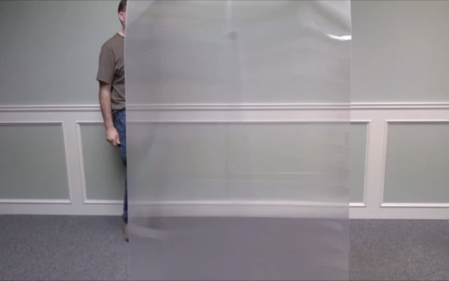 A real life invisibility cloak