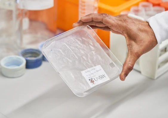 Biodegradable and recyclable bioplastic made of banana waste