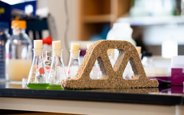 Living concrete made of bacteria and sand