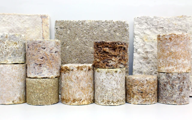 Biocomposites