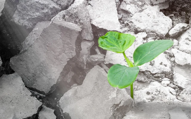 Recycling concrete with added wood waste