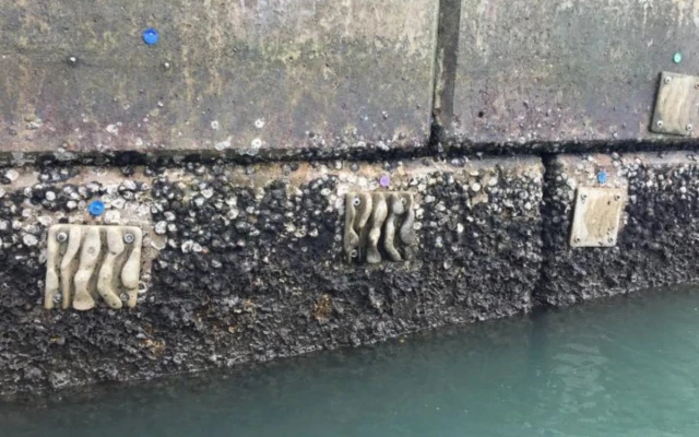 3D printed habitat panels to enhance biodiversity on seawalls