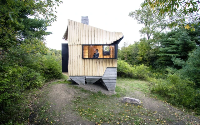 A cabin made from beetle infested wood and concrete 3D printing