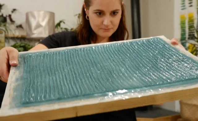 A leather and plastic alternative made of seaweed