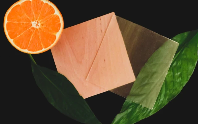 100% renewable transparent wood