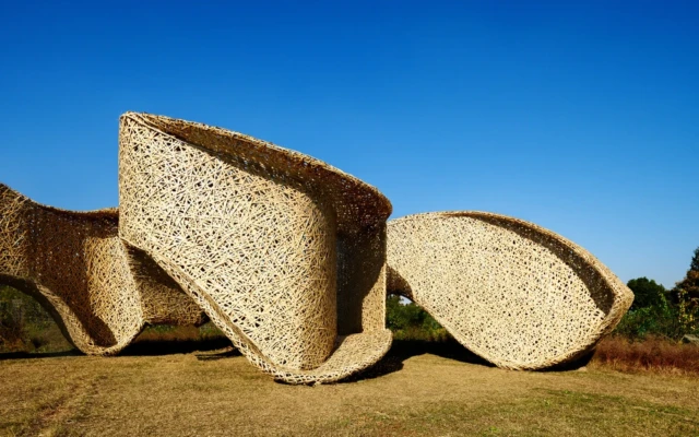 A meandering bamboo pavilion