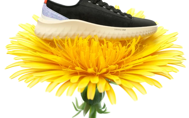 Shoes made of dandelions