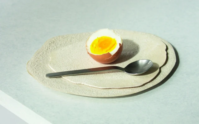 Eggshell Ceramic