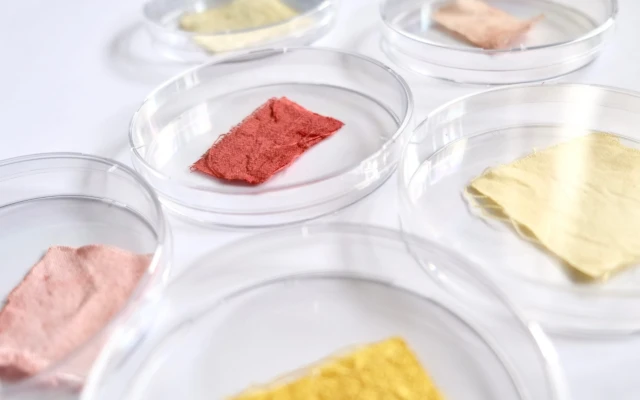 Fabulous Fungi dye
