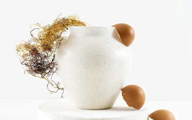 Ceramics made of egg shells and algae