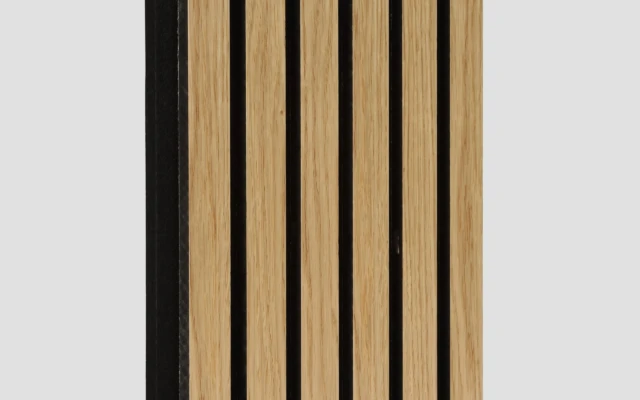 Acoustic-RibPanel