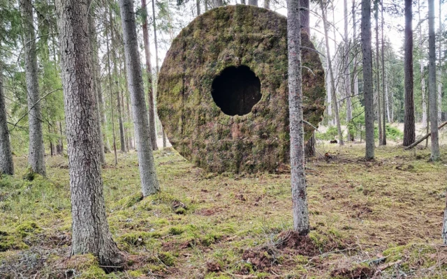 A hut made of plywood and moss provided by boars