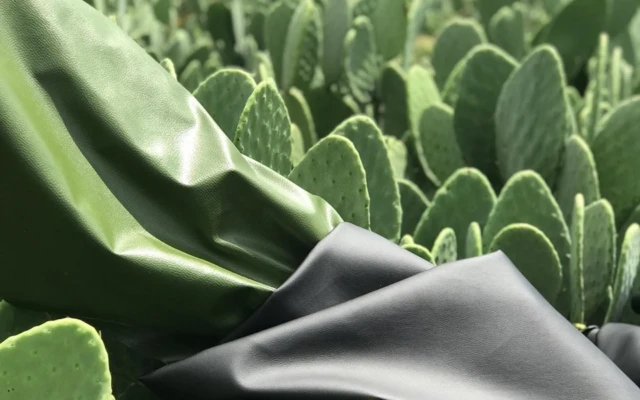 Desserto® cactus leather