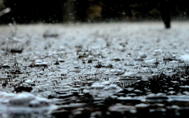 After solar panels, now rain panels?