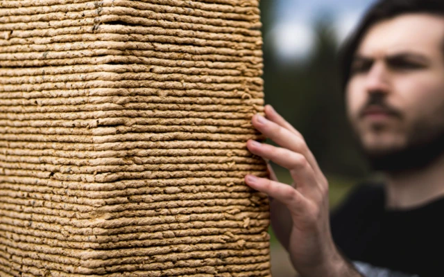 Biodegradable concrete casts made of sawdust