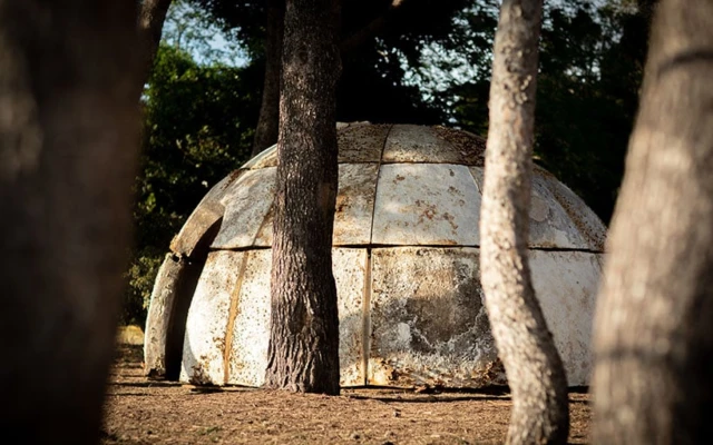 A dome made of mycelium