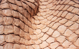 PIRARUCU (ARAPAIMA GIGAS) FISH LEATHER
