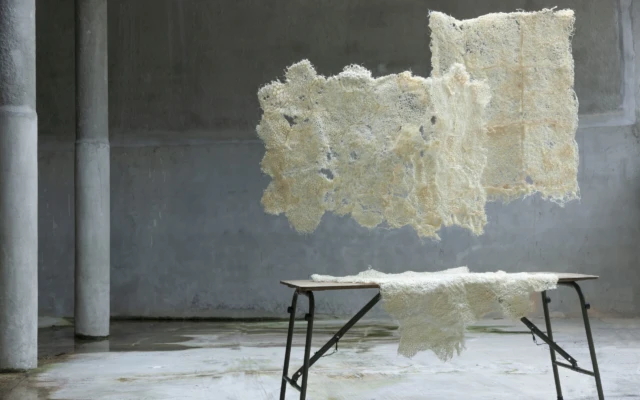 Root Textile