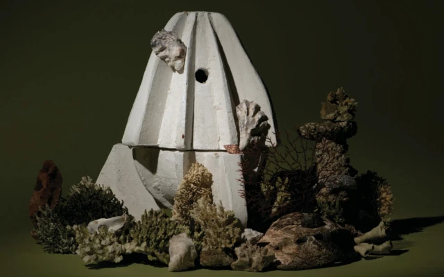 A reef made of biocement