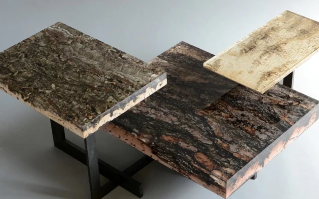 Phellem collection