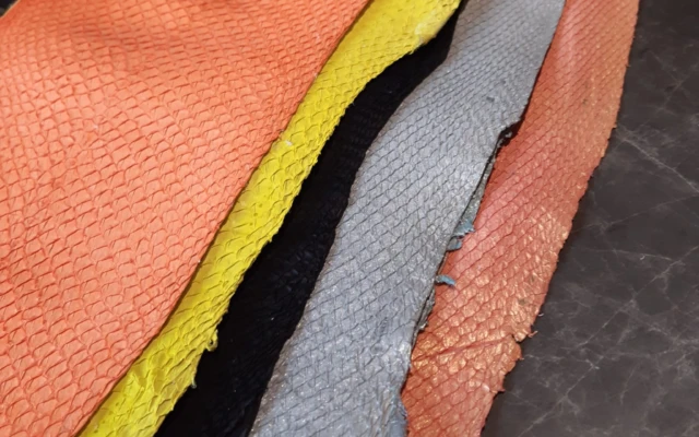 Salmon leather