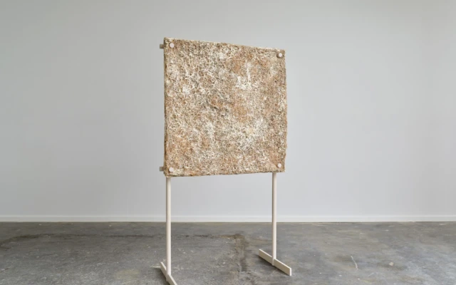 An acoustic panel made of mycelium