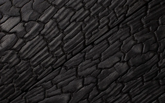 Burned Wood