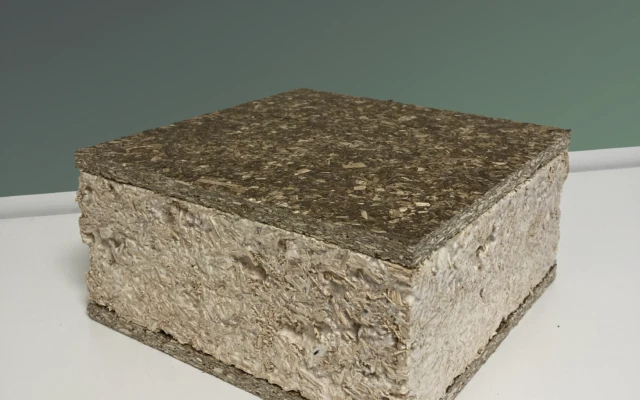 Hemp & Mycelium Sandwich Panel