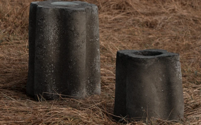 Biochar-Cob