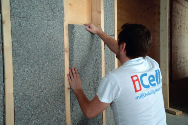 iCell-2