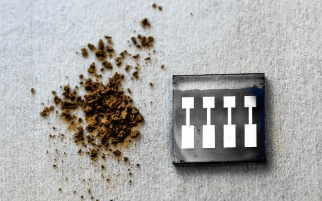 Organic solar cells made of wood