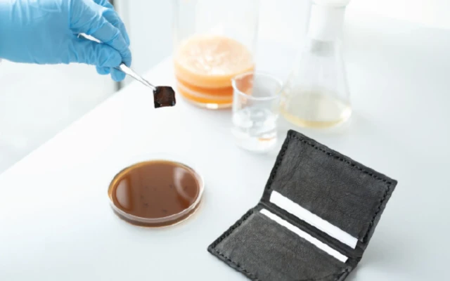 Self-dyeing bacterial black leather