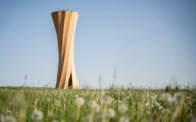 A tower made of self-shaped structural timber